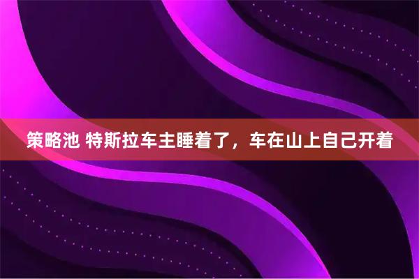 策略池 特斯拉车主睡着了，车在山上自己开着